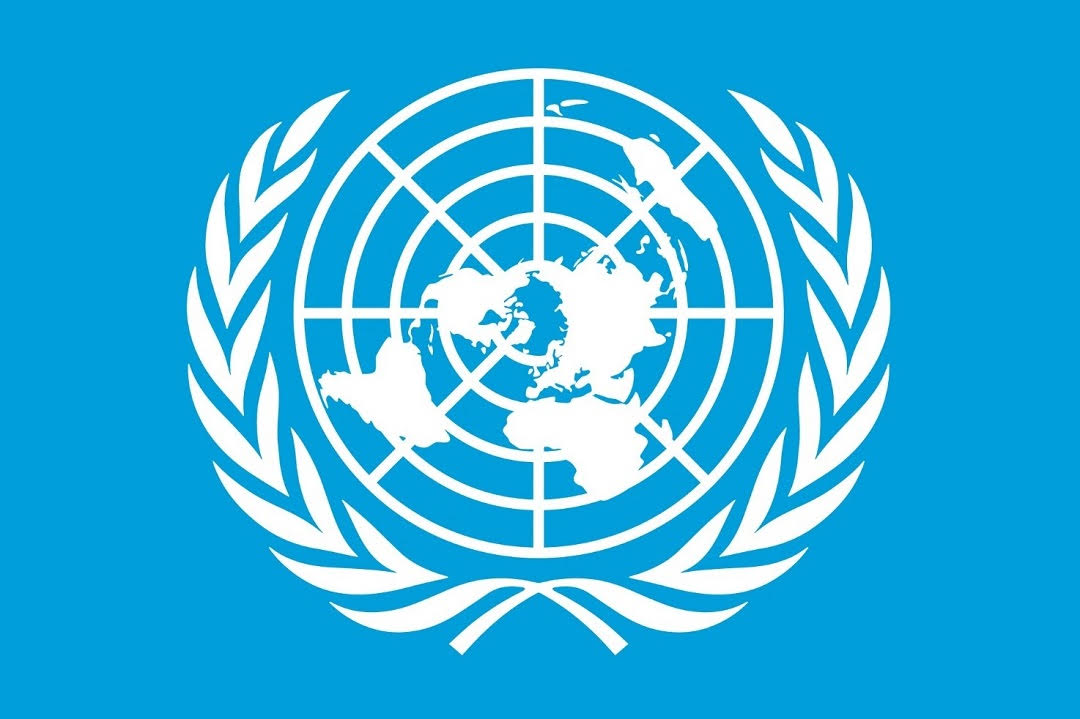 A Declaração De Direitos Humanos Da Onu Foi Complementada Pelos