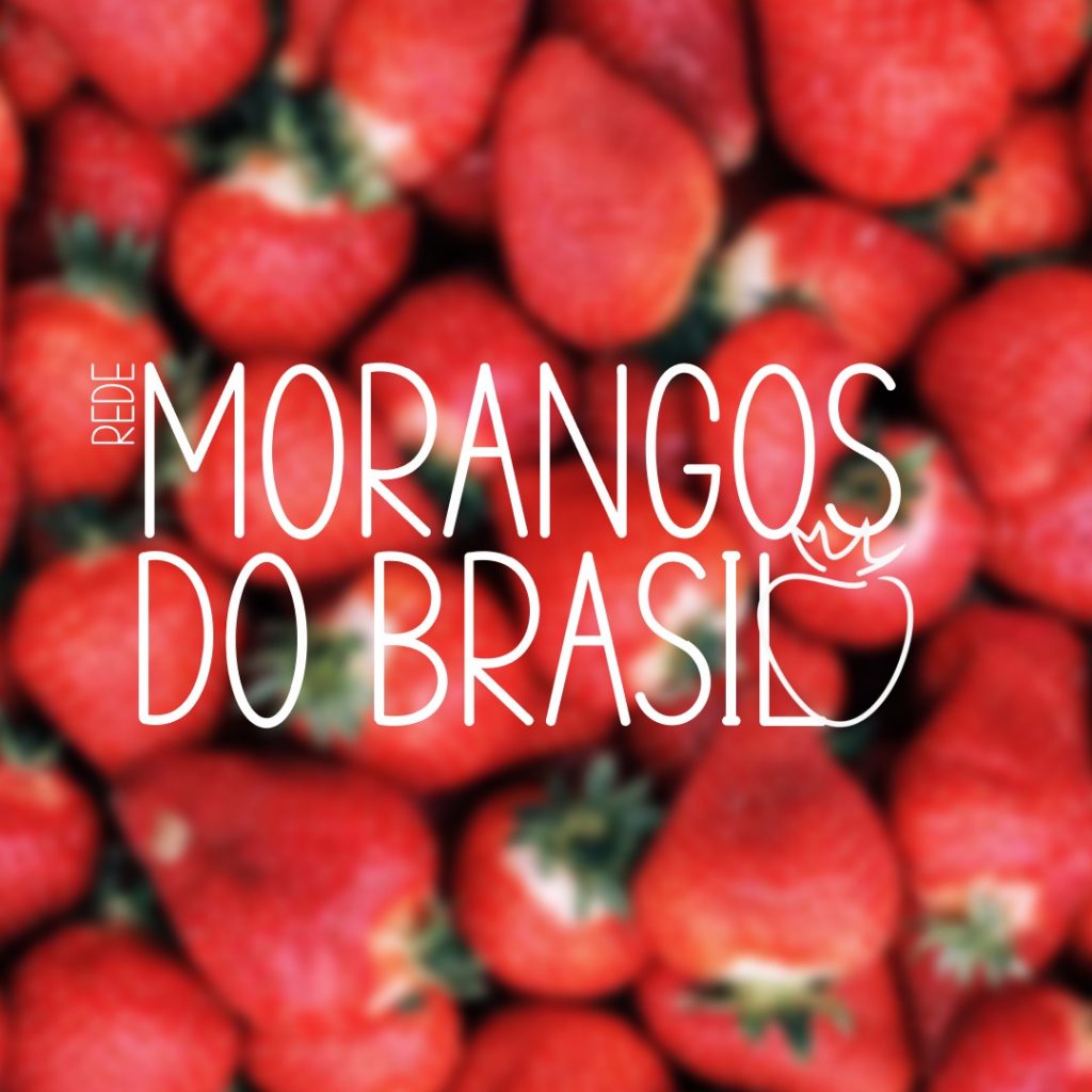O projeto Rede Morangos do Brasil, coordenado em parceria com a Unicentro, comercializa bandejas a partir de R$ 15,00.