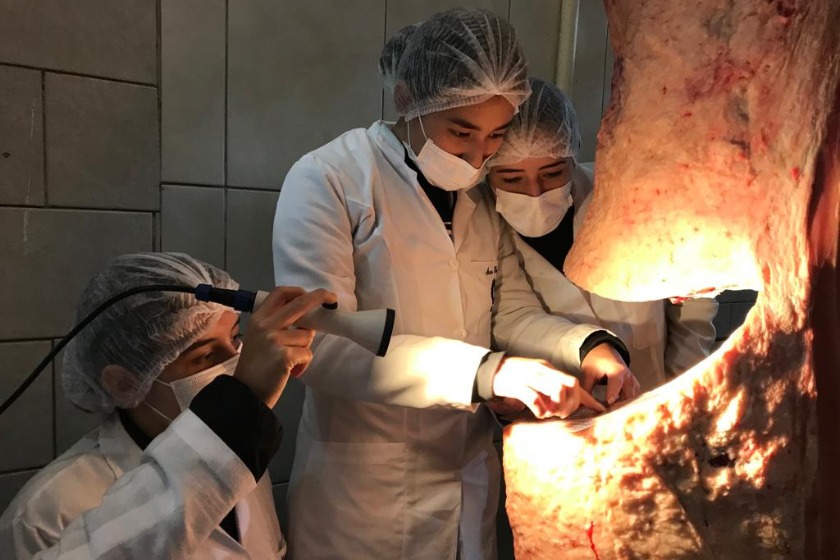 Grupo de Forma o Complementar analisa a qualidade da carne para