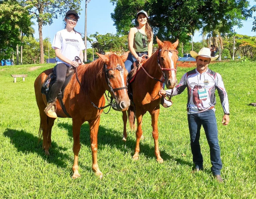 11 Esportes com Cavalos para conhecer e se encantar