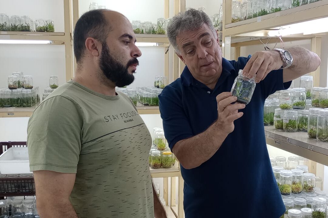 Os integrantes do LabPlant: O professor Ricardo Tadeu Faria e o doutorando Bruno Melegari. Foto: Murilo Carvalho