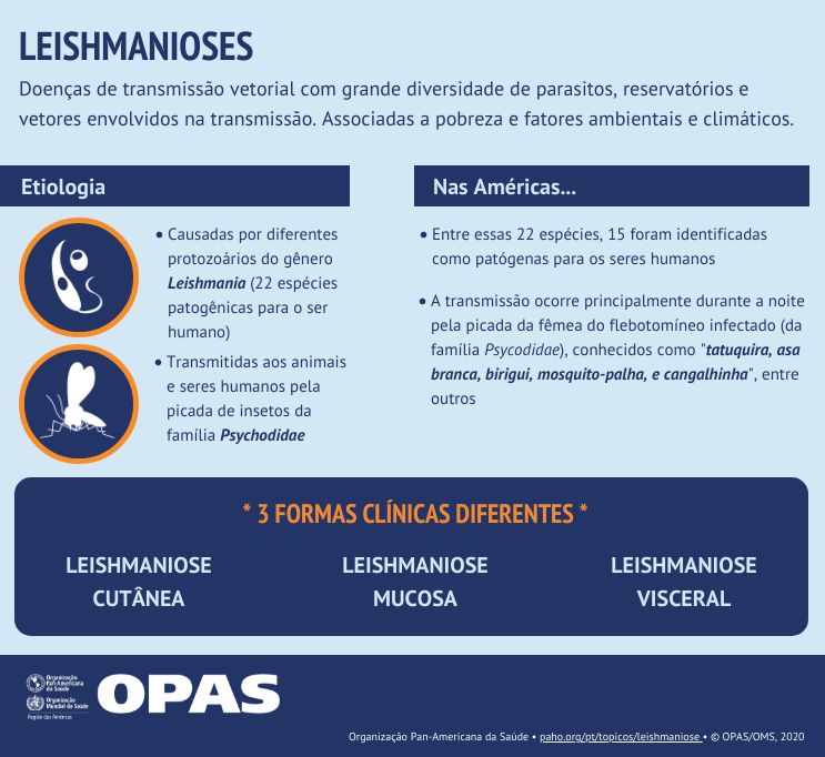 Fonte: Organização Pan-Americana de Saúde (OPAS)
